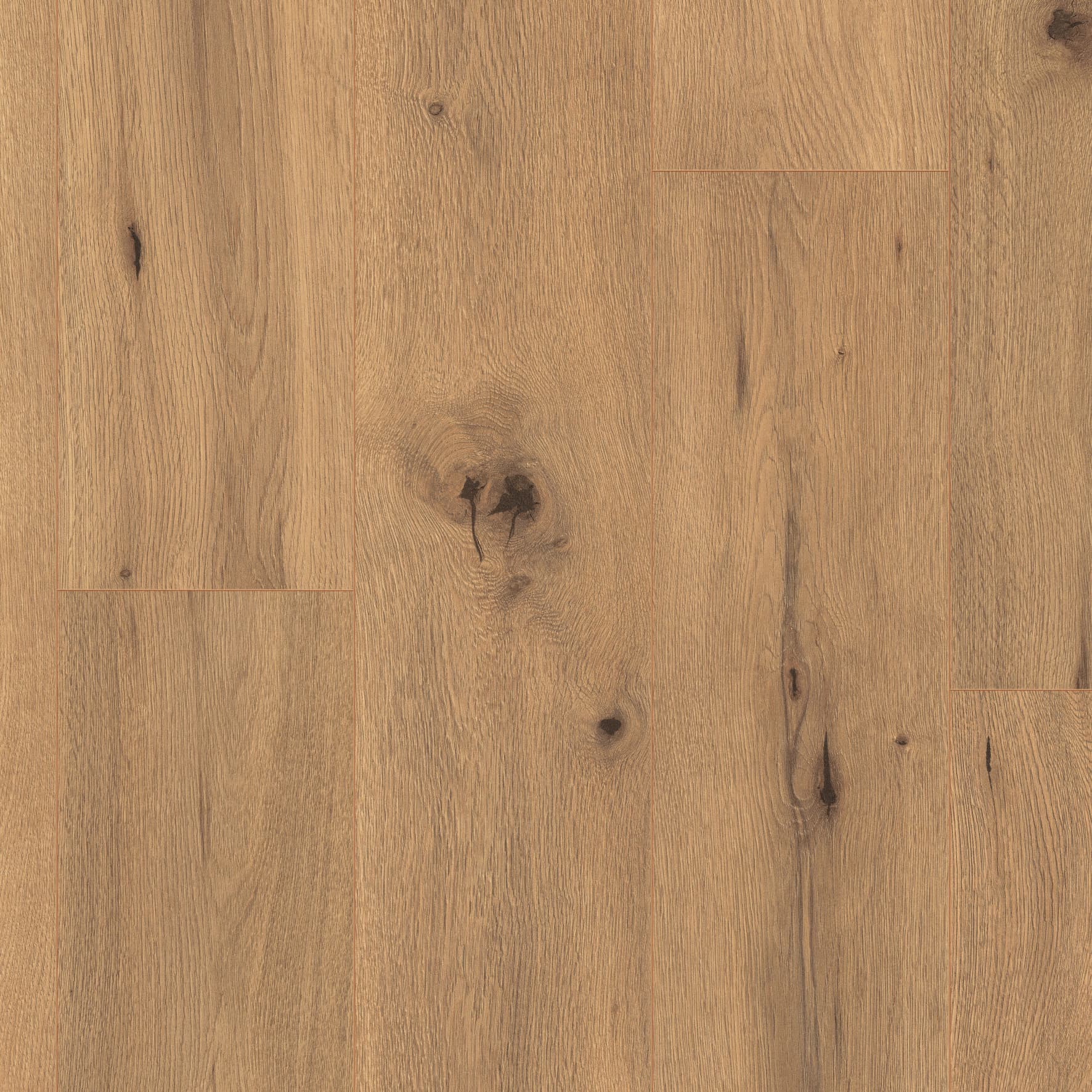 CARRIAGE OAK