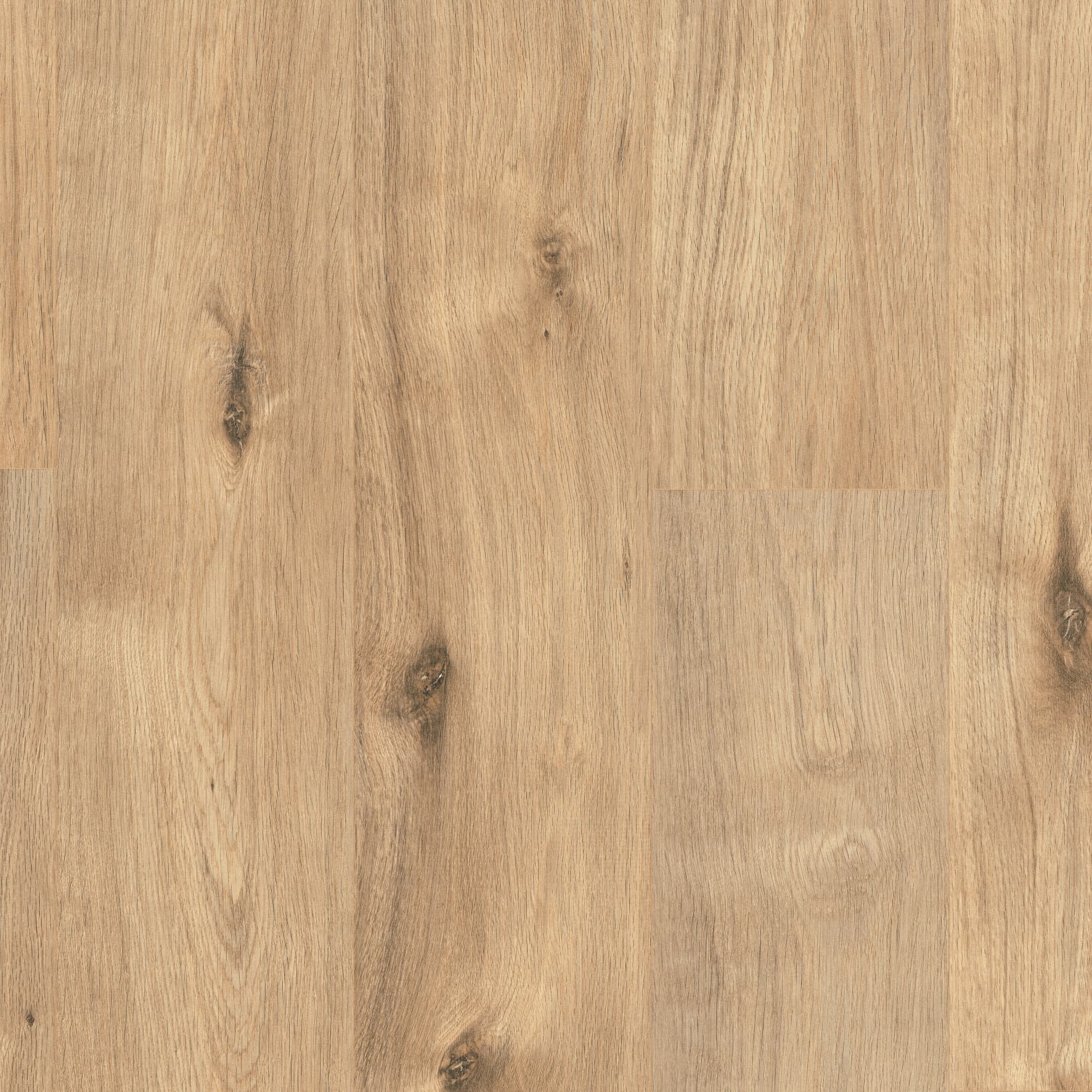 NEW ENGLAND OAK
