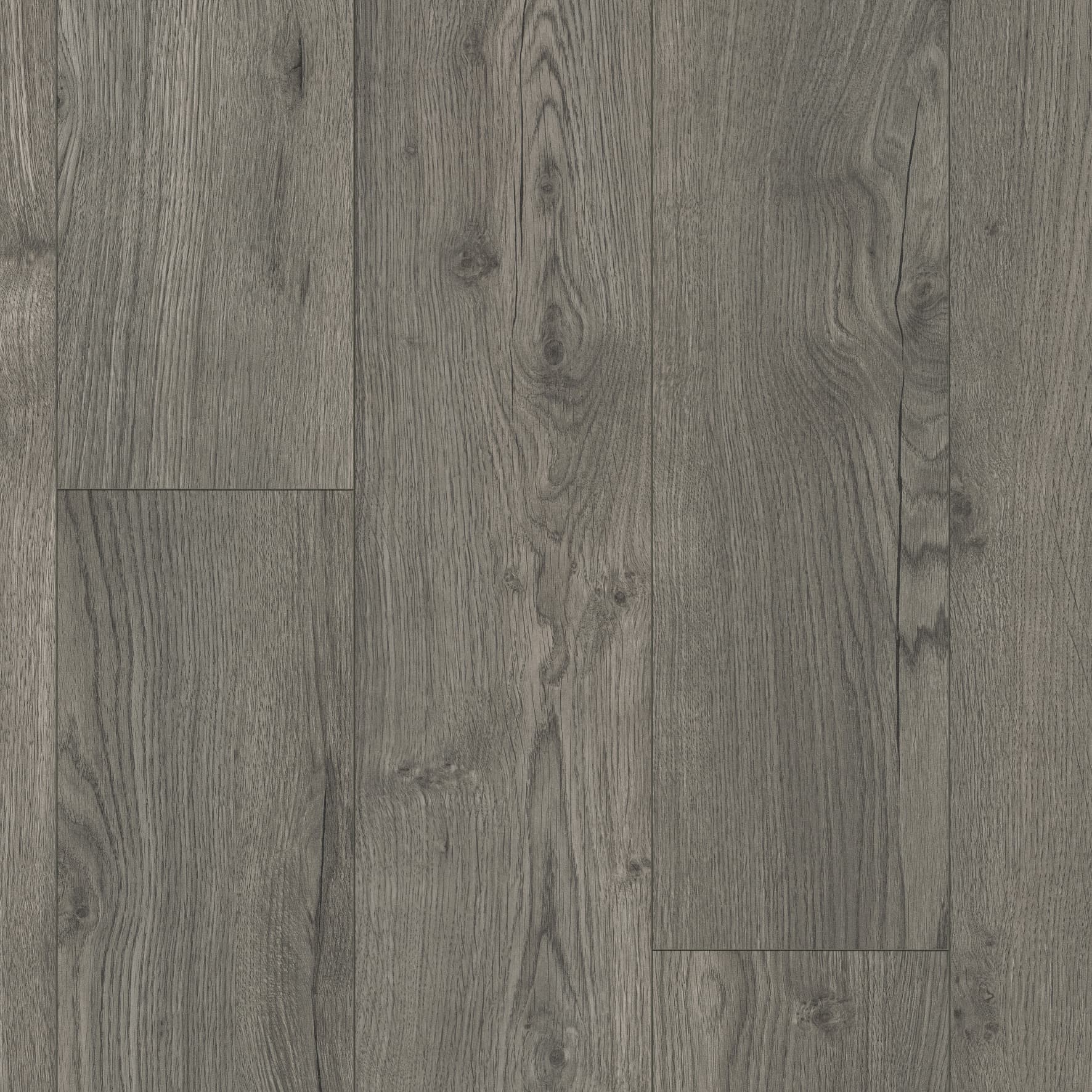 TIMELESS OAK
