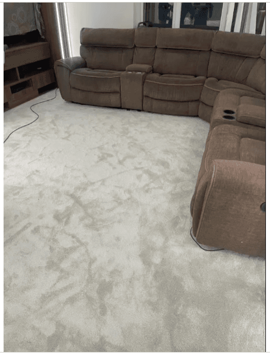 Step into pure luxury every single day with our Molto Bella carpet. Perfect for adding warmth, sophistication, and comfort to your home, this carpet features a beautifully dense, heavy pile that feels exceptionally soft underfoot.
Crafted for modern living, the Molto Bella doesn't just look stunning—it’s also built to last. Made from high-quality, stain-resistant fibers, it provides the perfect balance of premium comfort and everyday durability, making it an ideal choice for the busiest rooms in your home.